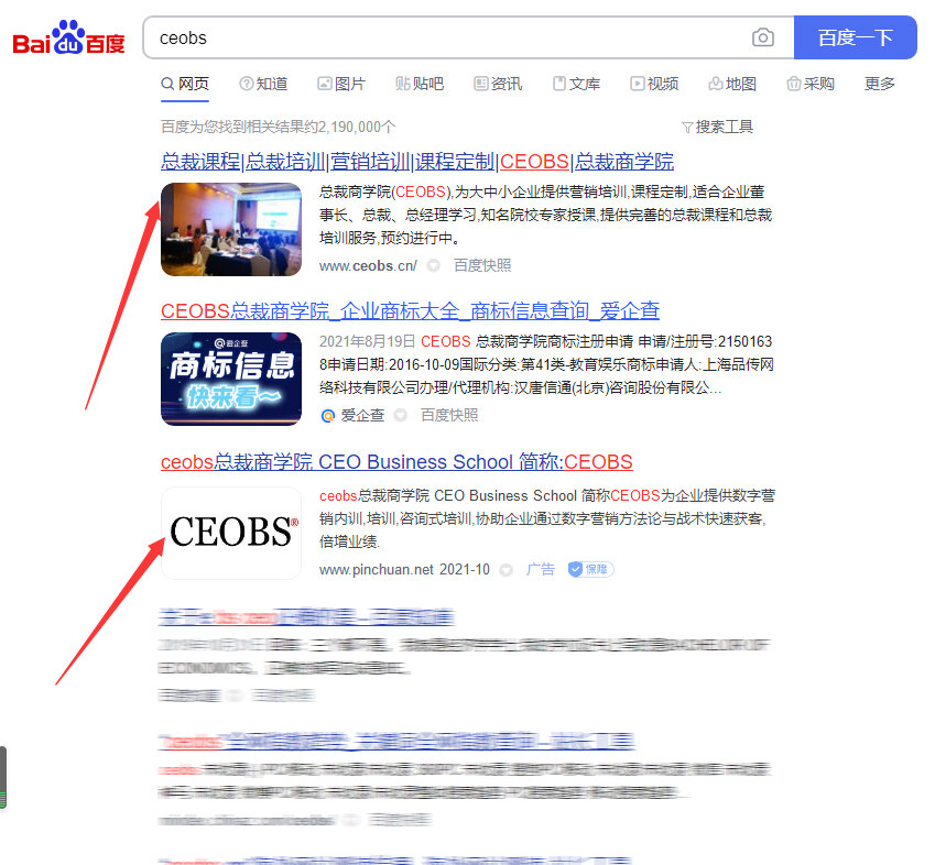 CEOBS商学院SEO优化案例