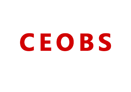 CEOBS商学院-SEO优化案例