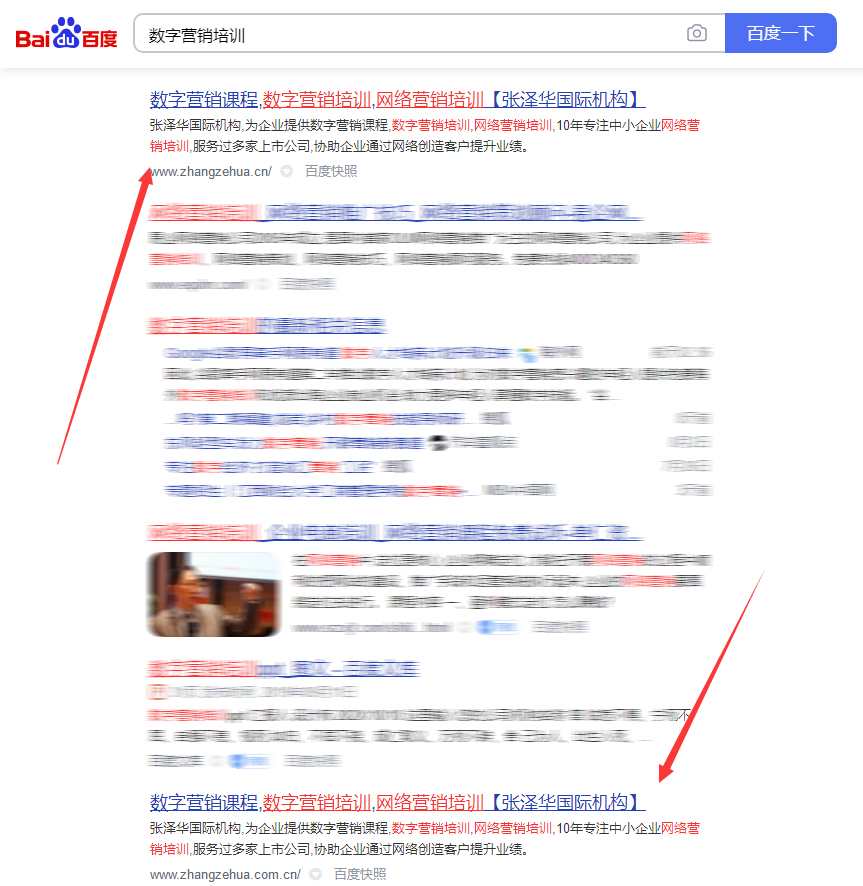 SEO优化案例展示